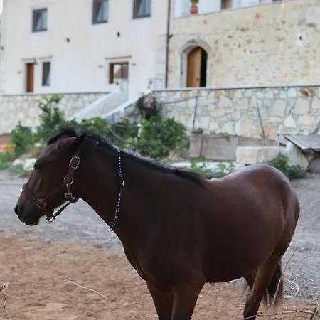 Parco vacanze Zouridi Park Rethymno